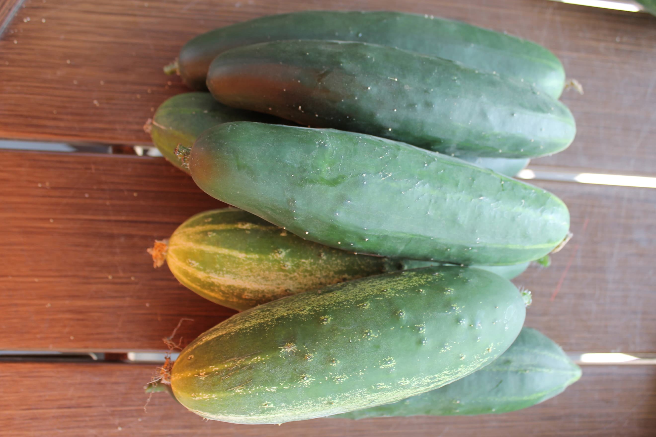 Cucumbers