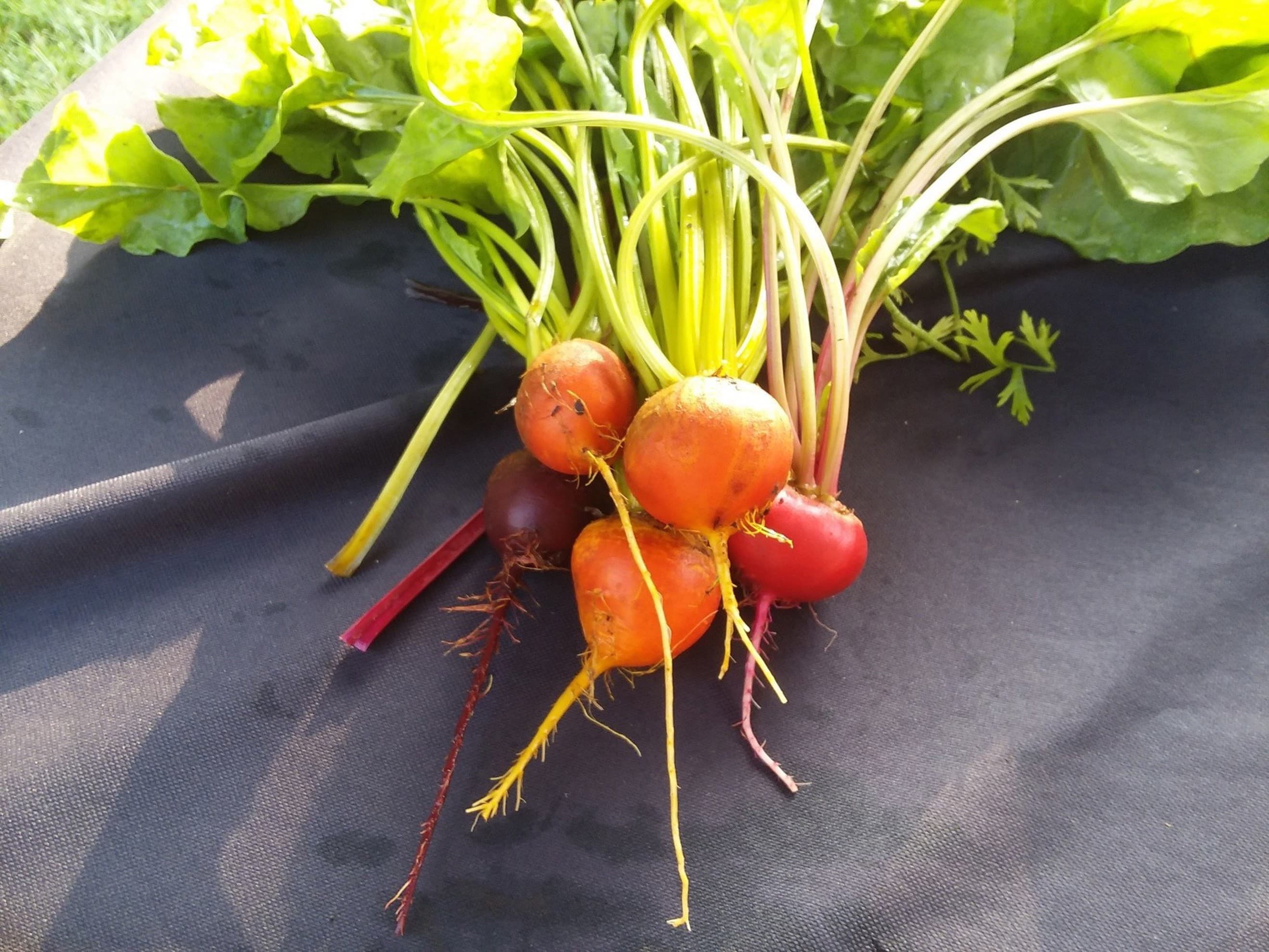 Beets