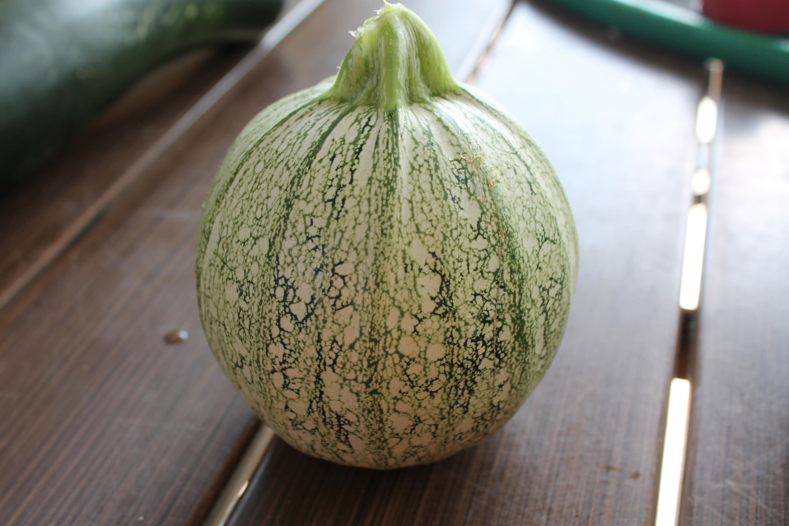 Round Zucchini