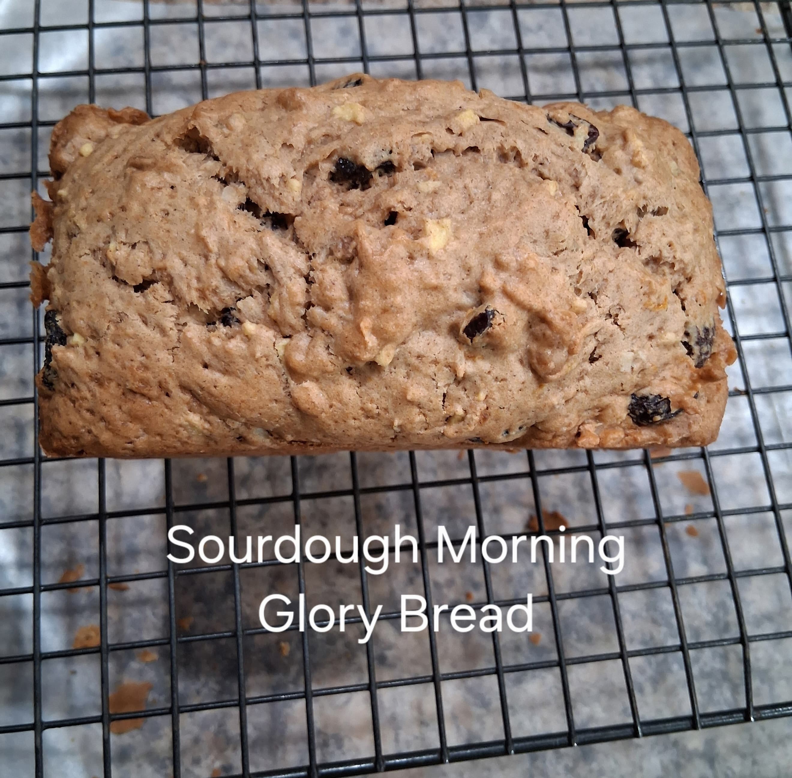 Sourdough Morning Glory Bread - Mini