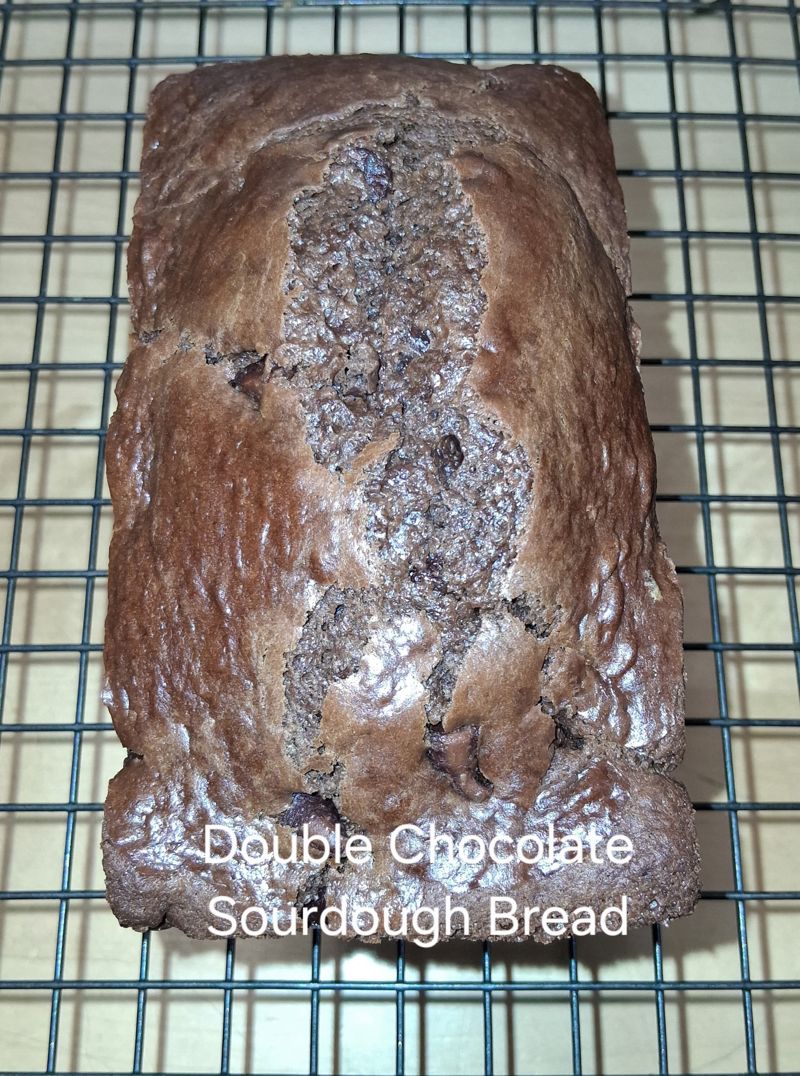 Double Chocolate Sourdough Bread - Mini